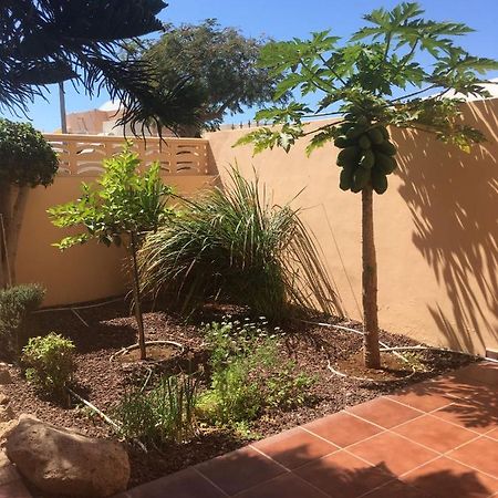 Independiente Estudio En Acogedora Casita De Mai Costa Adeje  Ngoại thất bức ảnh