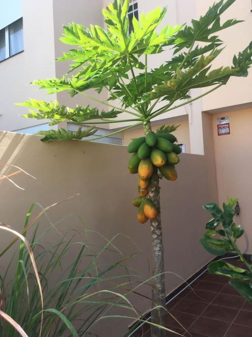 Independiente Estudio En Acogedora Casita De Mai Costa Adeje  Ngoại thất bức ảnh